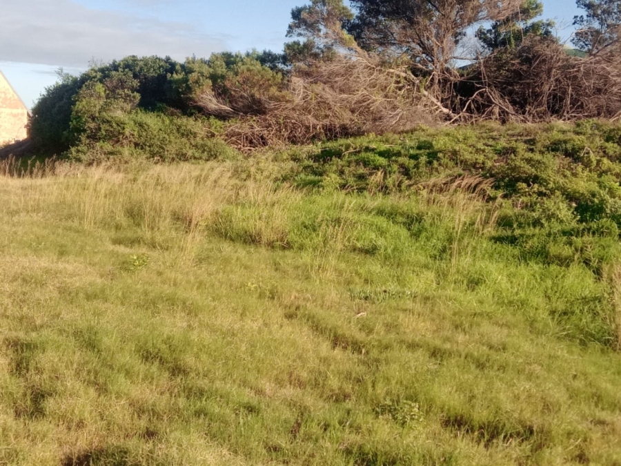 Commercial Property for Sale in Paradise Beach Eastern Cape